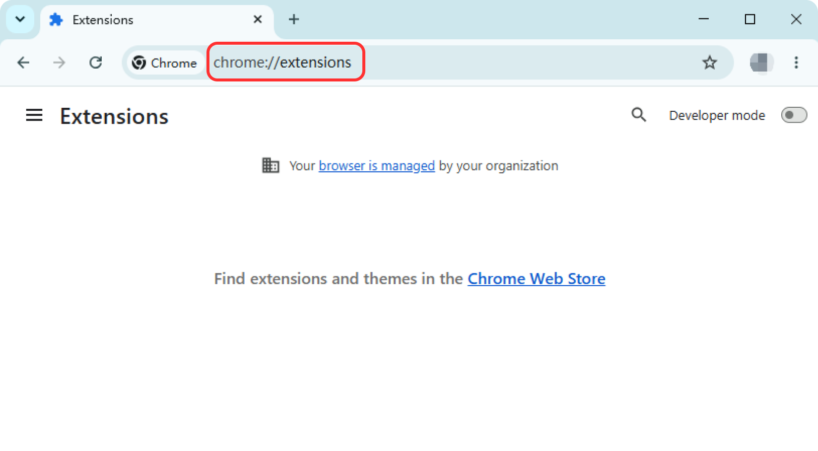 Chrome extensions page opened from the address bar