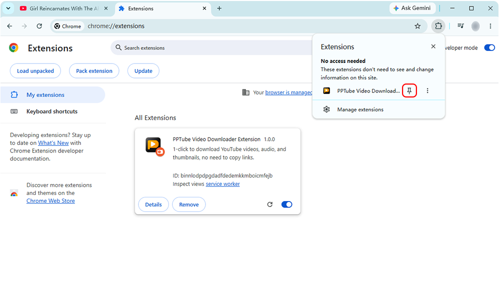 pin extension to chrome browser