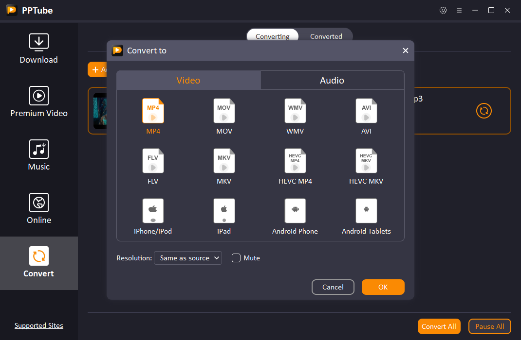 10 pptube convert format