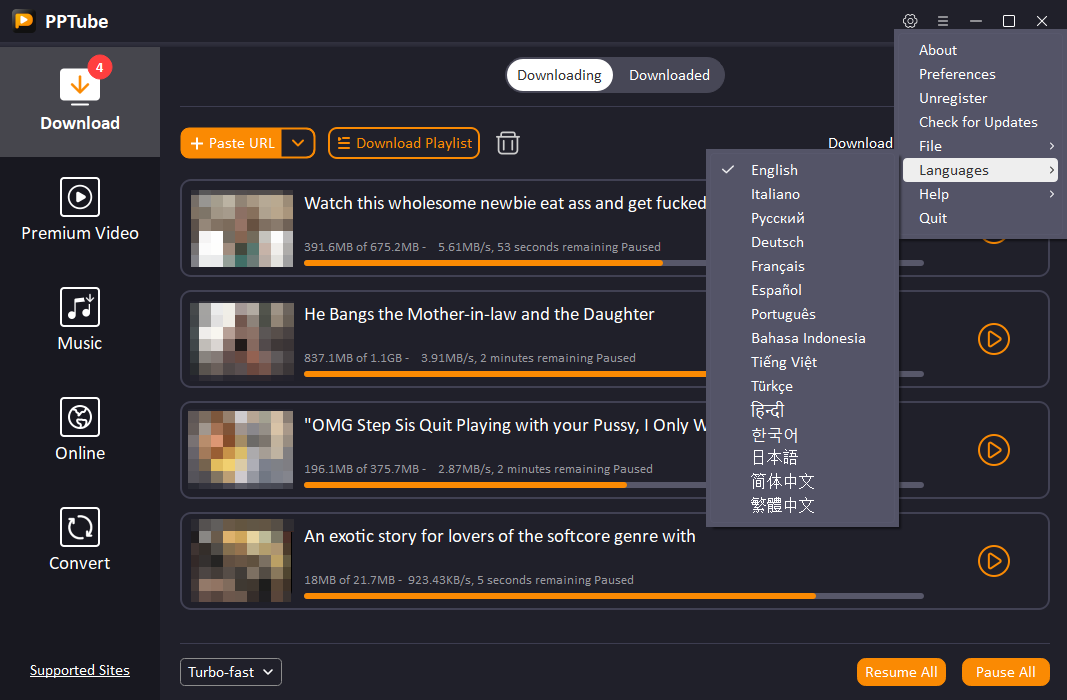 12 pptube language settings