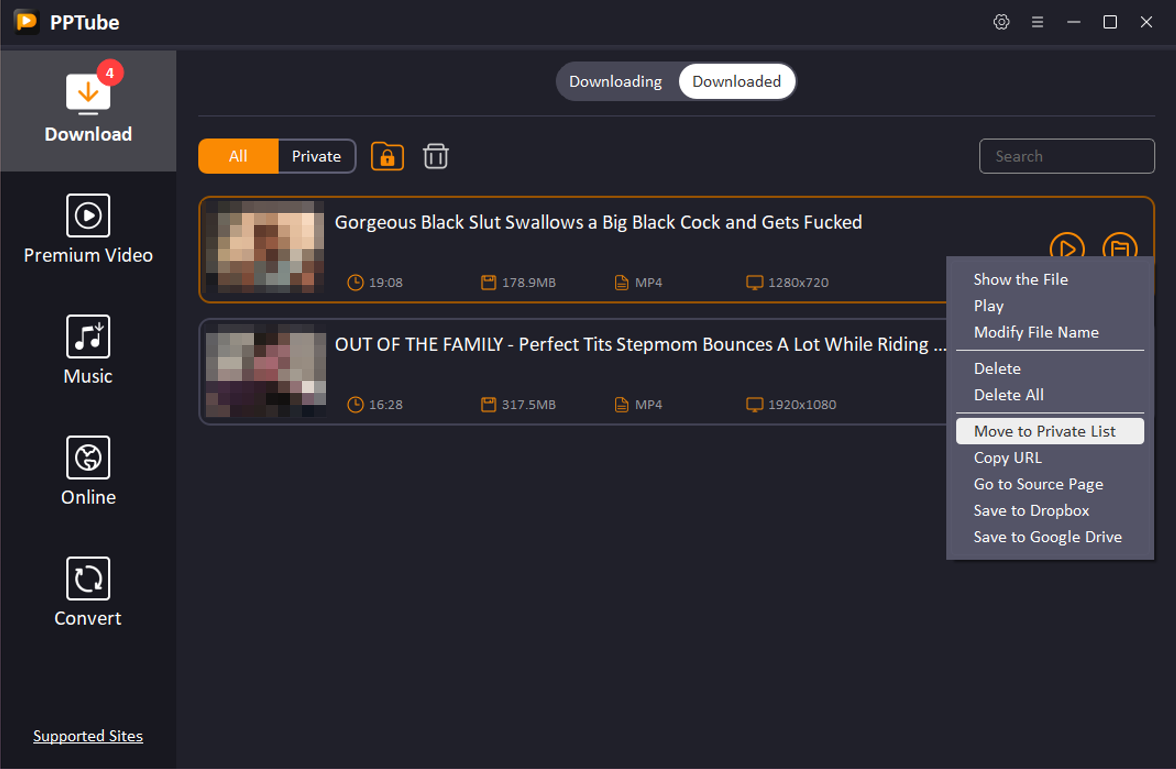 14 pptube move video to private lis