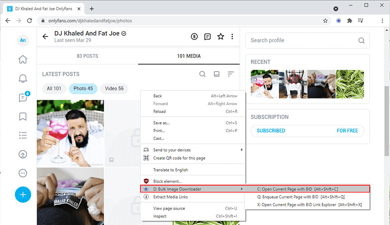 bulk image downloader