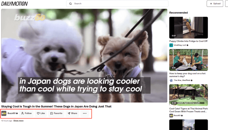 cannot download dailymotion video