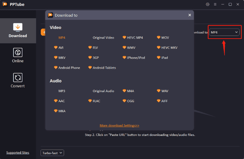 choose MP4 format