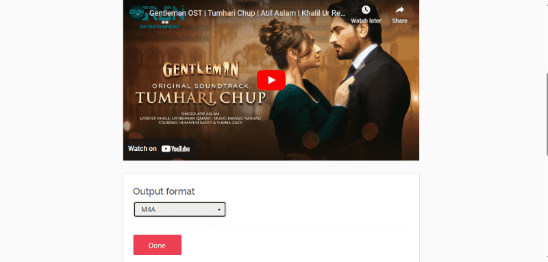 choose the format YTconverter