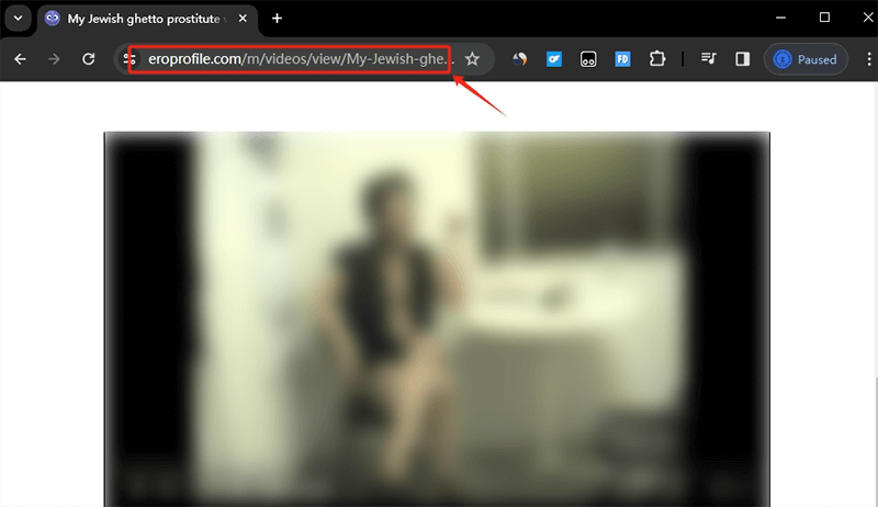copy eroprofile video url