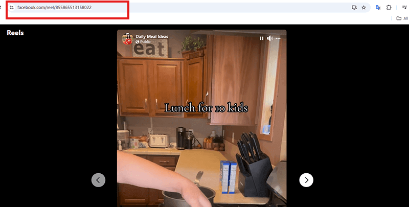 copy-facebook-reel-video