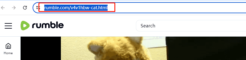 copy rumble video url