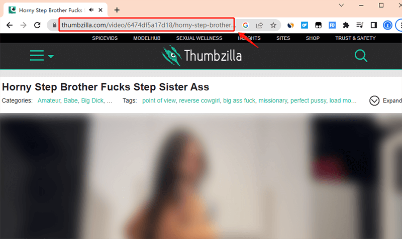 800px x 476px - How to Download Thumbzilla Videos for Free?