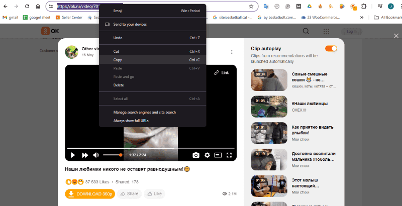copy url Video Online Convert