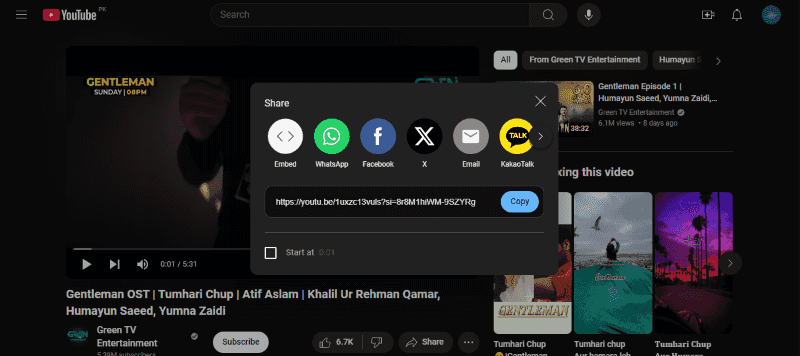 copy url YTconverter