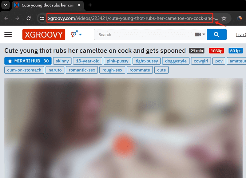 copy xgroovy video url
