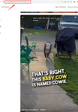 copy-yt-short-link