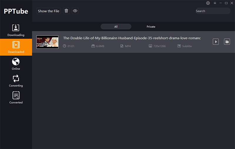 download The Double Life of My Billionaire Husband movies