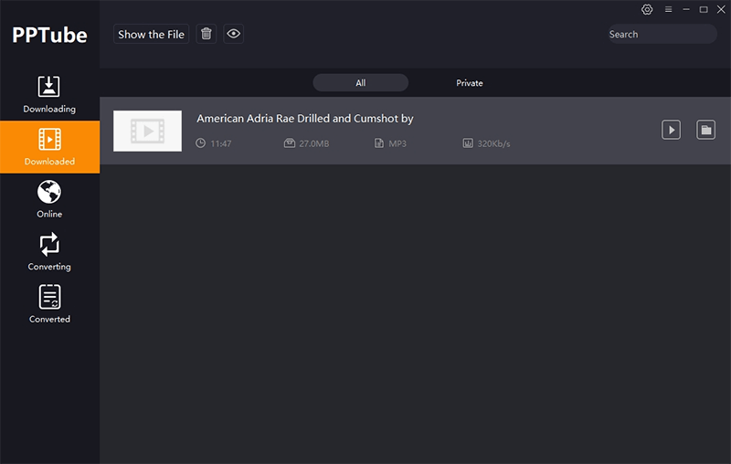 download beeg video pptube