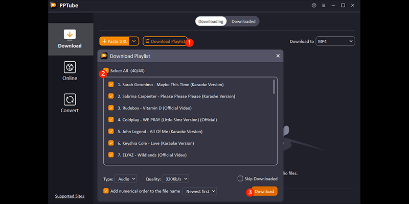 download karaoke playlist