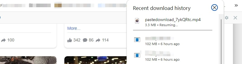 downloaded pastedownload
