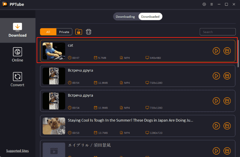 downloaded rumble videos