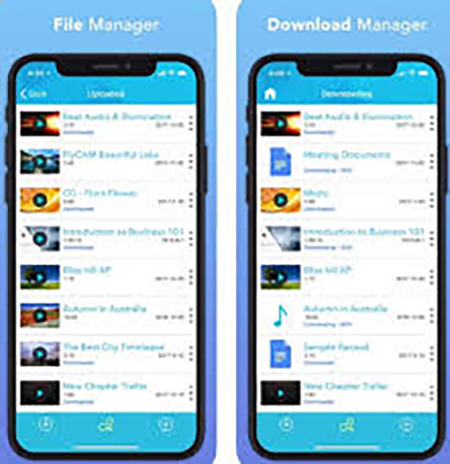 downloader-manager