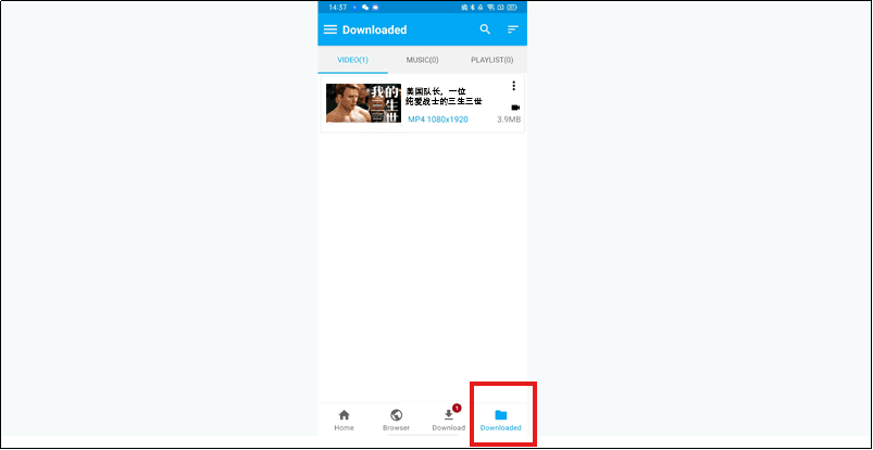 set bilibili video format