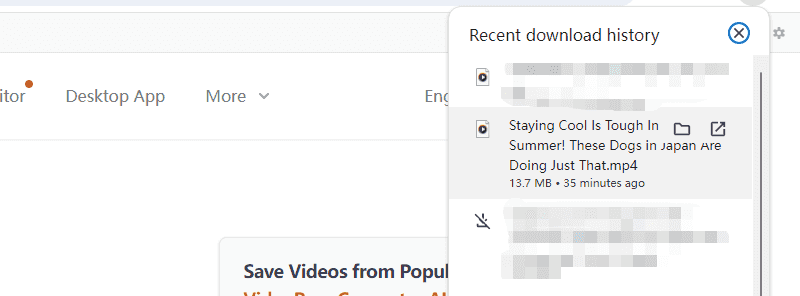 find download dailymotion video