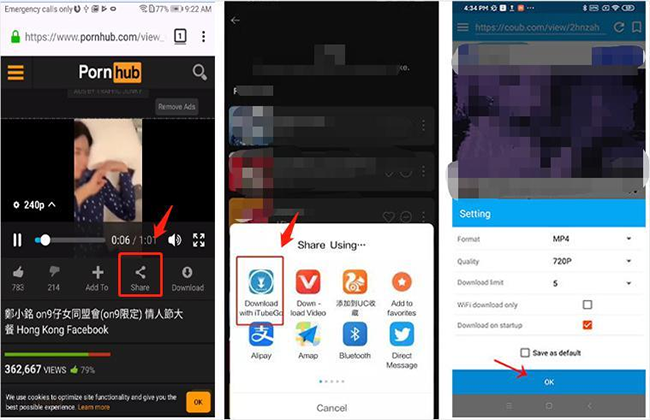 iTubeGo下載Pornhub