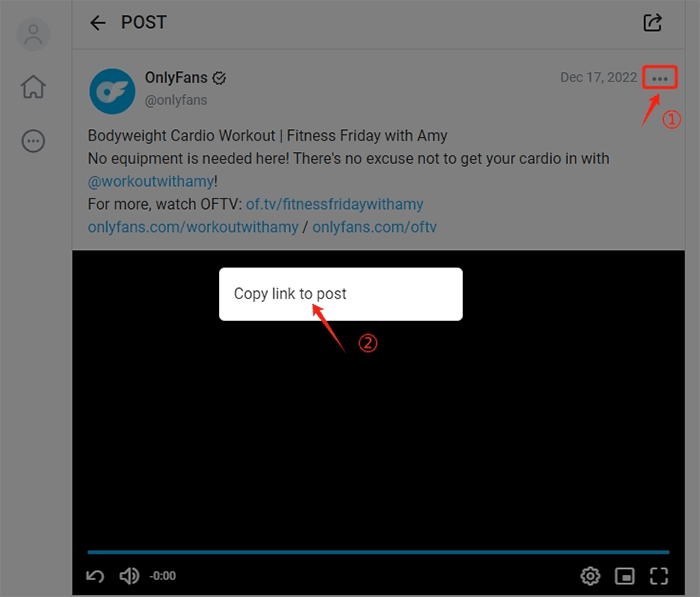 onlyfans downloader chrome