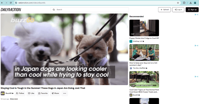 open dailymotion video