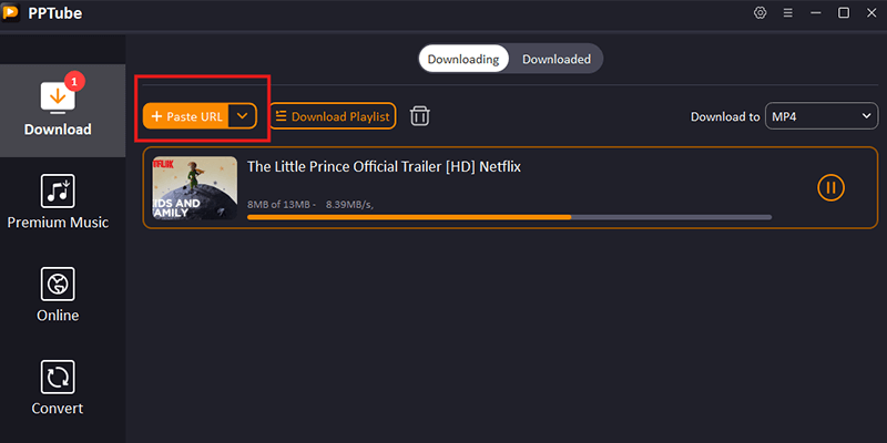 paste-any-video-url