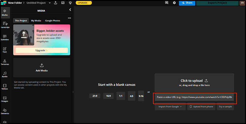 paste-youtube-video-url
