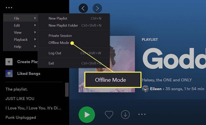 spotify offline mode