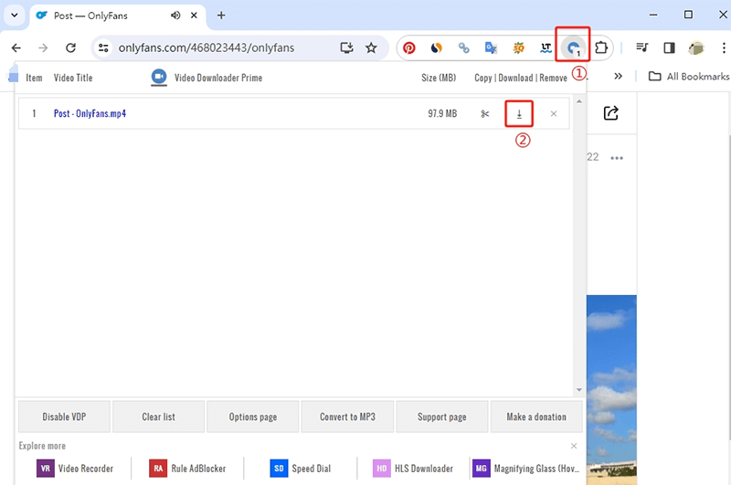 video downloader prime chrome