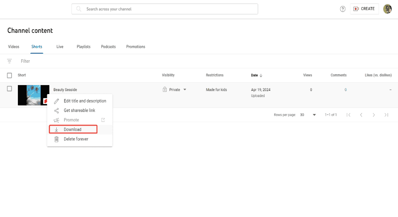 video owner download video